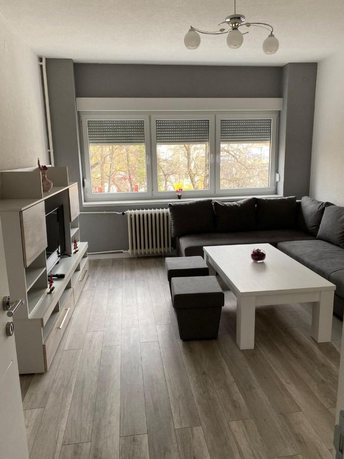 באניה לוקה Apartman Cetojevic מראה חיצוני תמונה